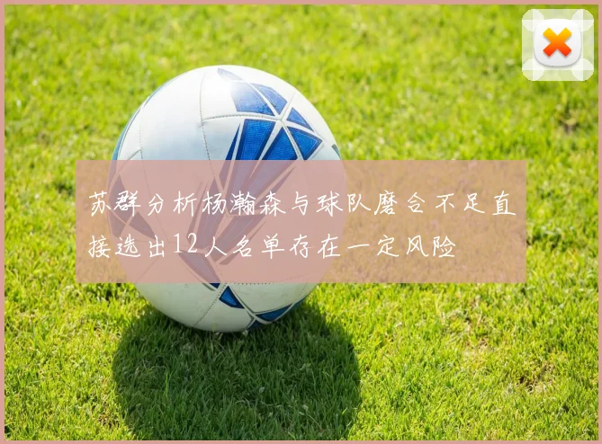 苏群分析杨瀚森与球队磨合不足直接选出12人名单存在一定风险