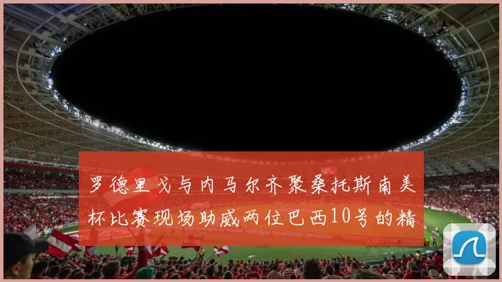 罗德里戈与内马尔齐聚桑托斯南美杯比赛现场助威两位巴西10号的精彩时刻